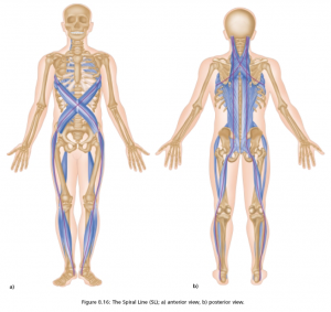 anatomy_trains_SELF_CARE